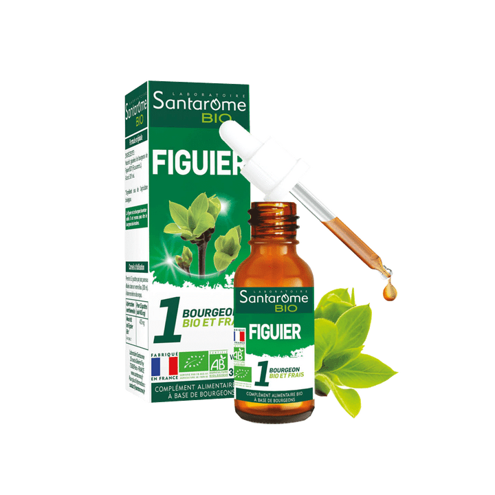 1 bourgeon BIO et frais Figuier Santarome - flacon de 30 ml