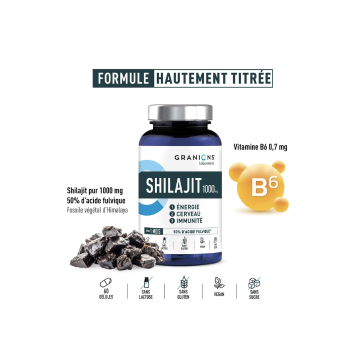 Shilajit 1000g Granions - boite de 60 gélules
