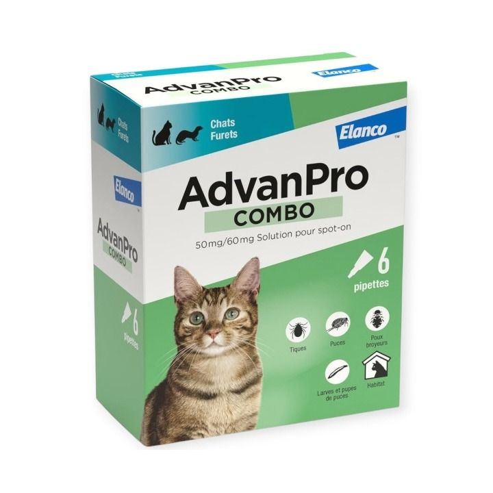 AdvanPro combo chats et furets Elanco - boite de 6 pipettes 