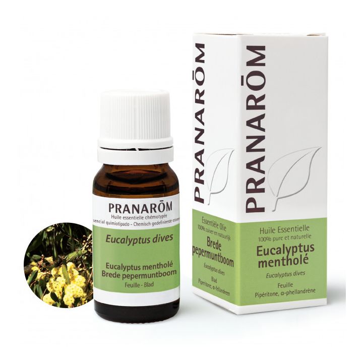 Huile Essentielle Eucalyptus Mentholé Pranarôm - flacon de 10 ml