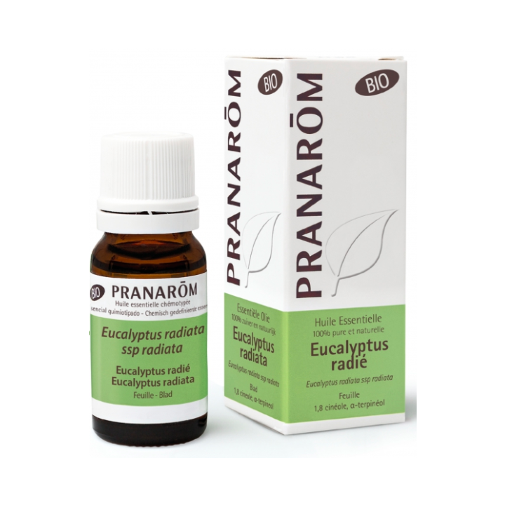 Huile essentielle d'Eucalyptus radié bio Pranarôm - flacon de 10 ml