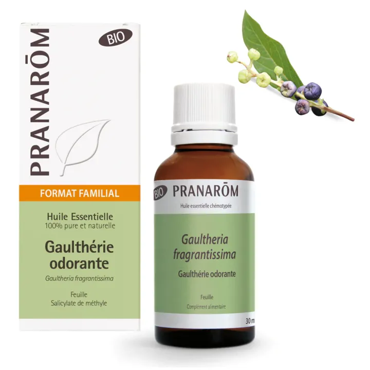Huile essentielle de Gaulthérie odorante bio Pranarôm - flacon de 30 ml