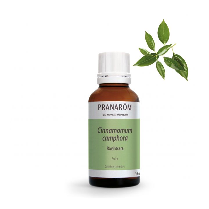 Huile essentielle de Ravintsara Bio Pranarôm - flacon de 30 ml