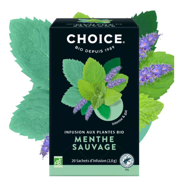 Infusion aux plantes bio menthe sauvage Panda Tea - boite de 17 sachets 