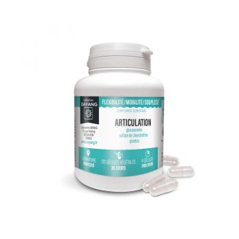 Articulation flexibilité/mobilité/souplesse Dayang - boite de 120 gélules