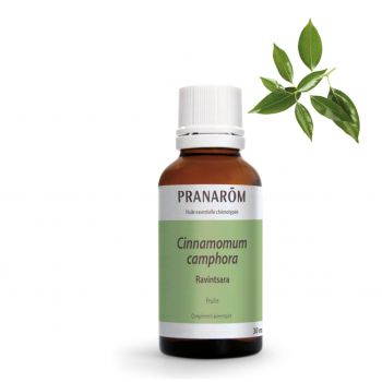 Huile essentielle de Ravintsara Bio Pranarôm - flacon de 30 ml