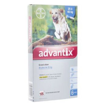 Advantix grand chien de plus de 25 kg Bayer - boite de 6 pipettes