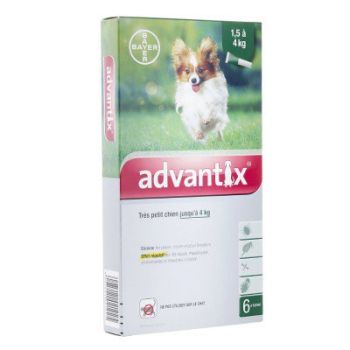 Advantix très petit chien jusqu'à 4 kg Bayer - boite de 6 pipettes