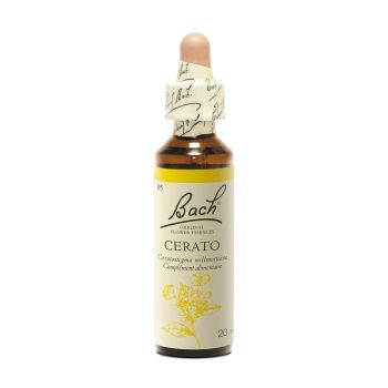 Fleur de Bach Cerato Ceratostigma willmattiana - flacon de 20 ml