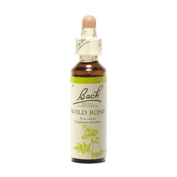 Fleur de Bach Wild Rose Rosa canina - flacon de 20 ml
