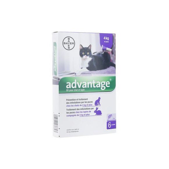 Advantage 80 pour chat et lapin plus de 4 kg Bayer - boite de 6 pipettes