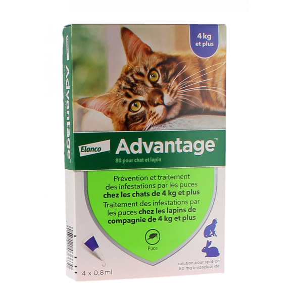 Advantage 80 pour chat et lapin plus de 4 kg Bayer - boite de 4 pipettes