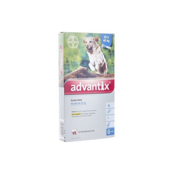 Advantix grand chien de plus de 25 kg Bayer - boite de 6 pipettes
