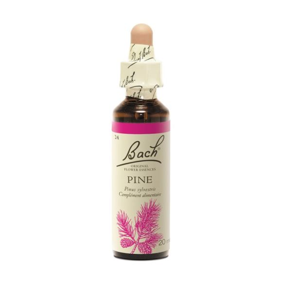 Fleur de Bach Pine Pinus sylvestris - flacon de 20 ml