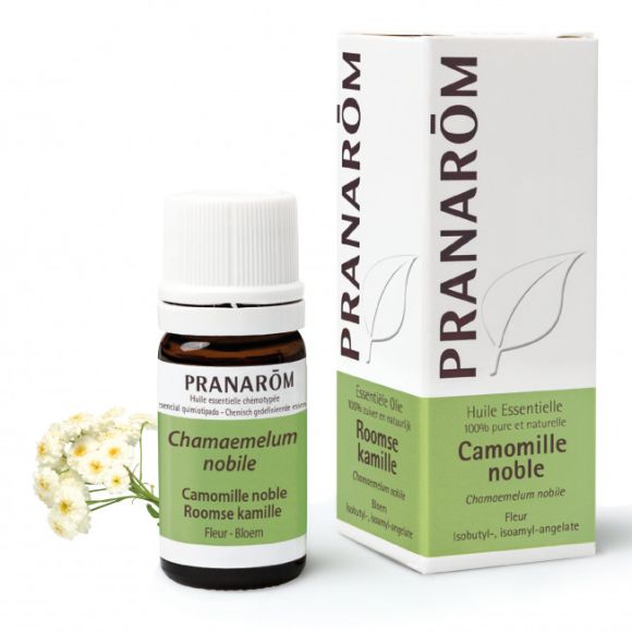 Huile essentielle de camomille noble Pranarom - flacon de 5 mL